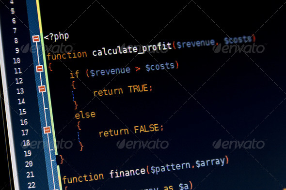 Programming code for calculation profit or loss of a business.