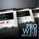 Pro Web Display - 9