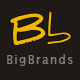 BigBrands - ThemeForest Item for Sale