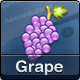 Grape â€“ Professional &amp; Flexible Admin Template - ThemeForest Item for Sale