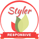 Styler - 100% Responsive Magento Theme - ThemeForest Item for Sale