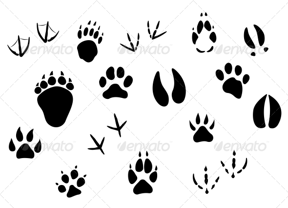 clip art animal footprints - photo #13