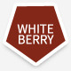 White Berry Responsive Business Mobile Template - ThemeForest Item for Sale