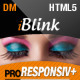  iBlink - Responsive HTML5 Theme - ThemeForest Item for Sale