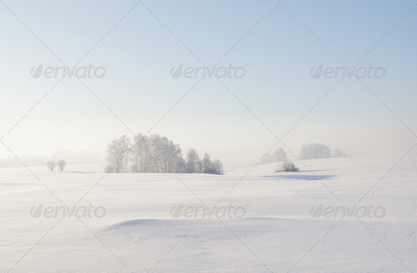 Calm winter landscape