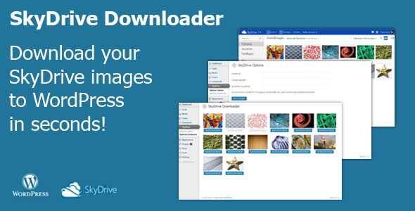 SkyDrive Downloader