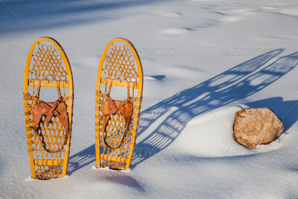 Bear Paw classic snowshoes