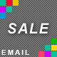SALE - RESPONSIVE + BUSINESS + E-COMMERCE EMAIL - ThemeForest Item for Sale