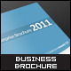 Modern Business Brochure - GraphicRiver Item for Sale
