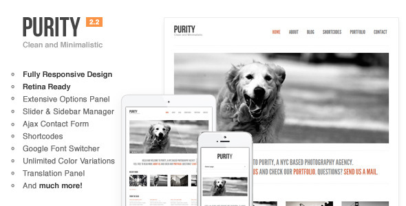 Purity: Clean, Minimal & Bold WordPress Theme - Creative WordPress