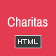 Charitas / Foundation HTML Template - ThemeForest Item for Sale