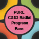 PURE CSS3 Radial Animated Progress Bars - CodeCanyon Item for Sale