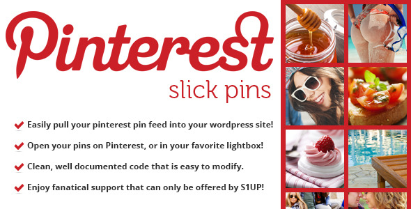 Slick Pins - Pinterest Feed Widget - CodeCanyon Item for Sale