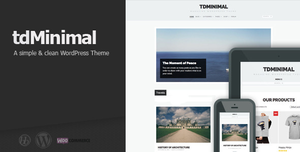 tdMinimal - Responsive WordPress Theme - Blog / Magazine WordPress