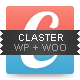 Claster - Multi-Purpose WP WooCommerce Theme - ThemeForest Item for Sale