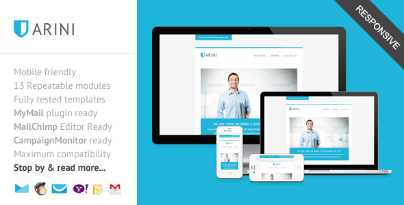Arini, Clean Business Newsletter Template - Newsletters Email Templates