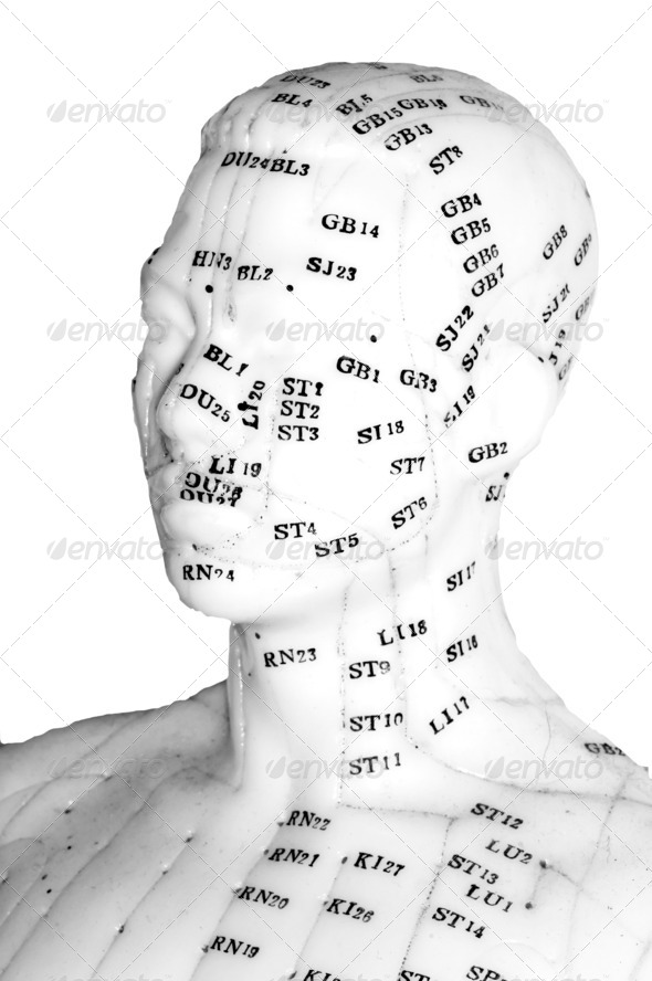 Acupuncture head model