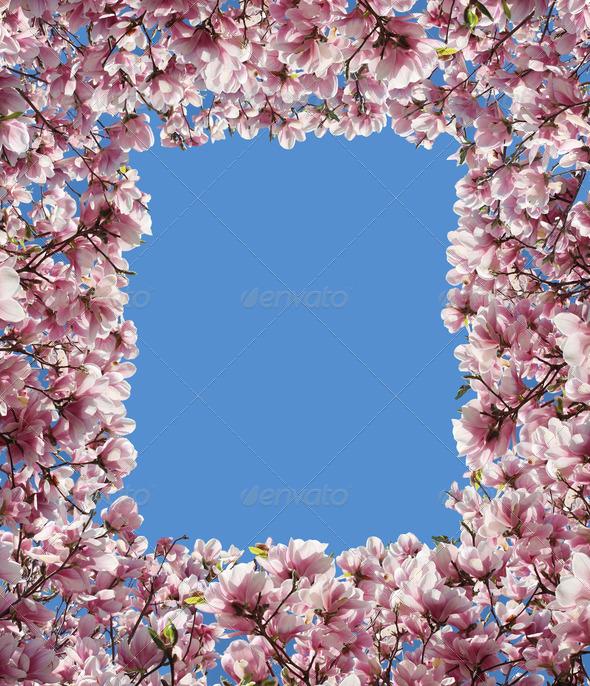 Magnolia Flower Border Frame