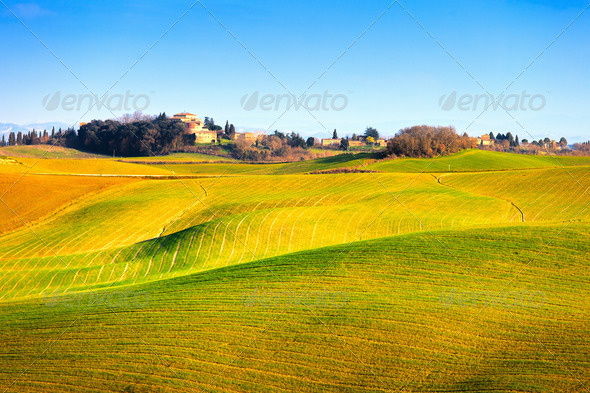 Tuscany, Crete Senesi country landscape, Italy, Europe. Rolling Hills, green fields with shadows and sunlight, blue sky partially cloudy and a farm with cypress trees in a row.