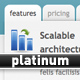 Platinum - ThemeForest Item for Sale