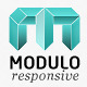 Modulo - Responsive premium theme - ThemeForest Item for Sale