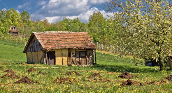 Springtime view on old traditional cottage made of wood and mud