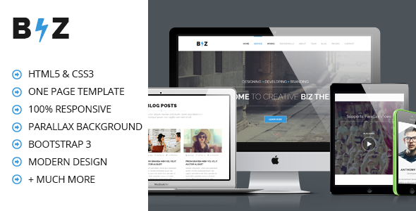 BIZ - One Page Parallax HTML Template
